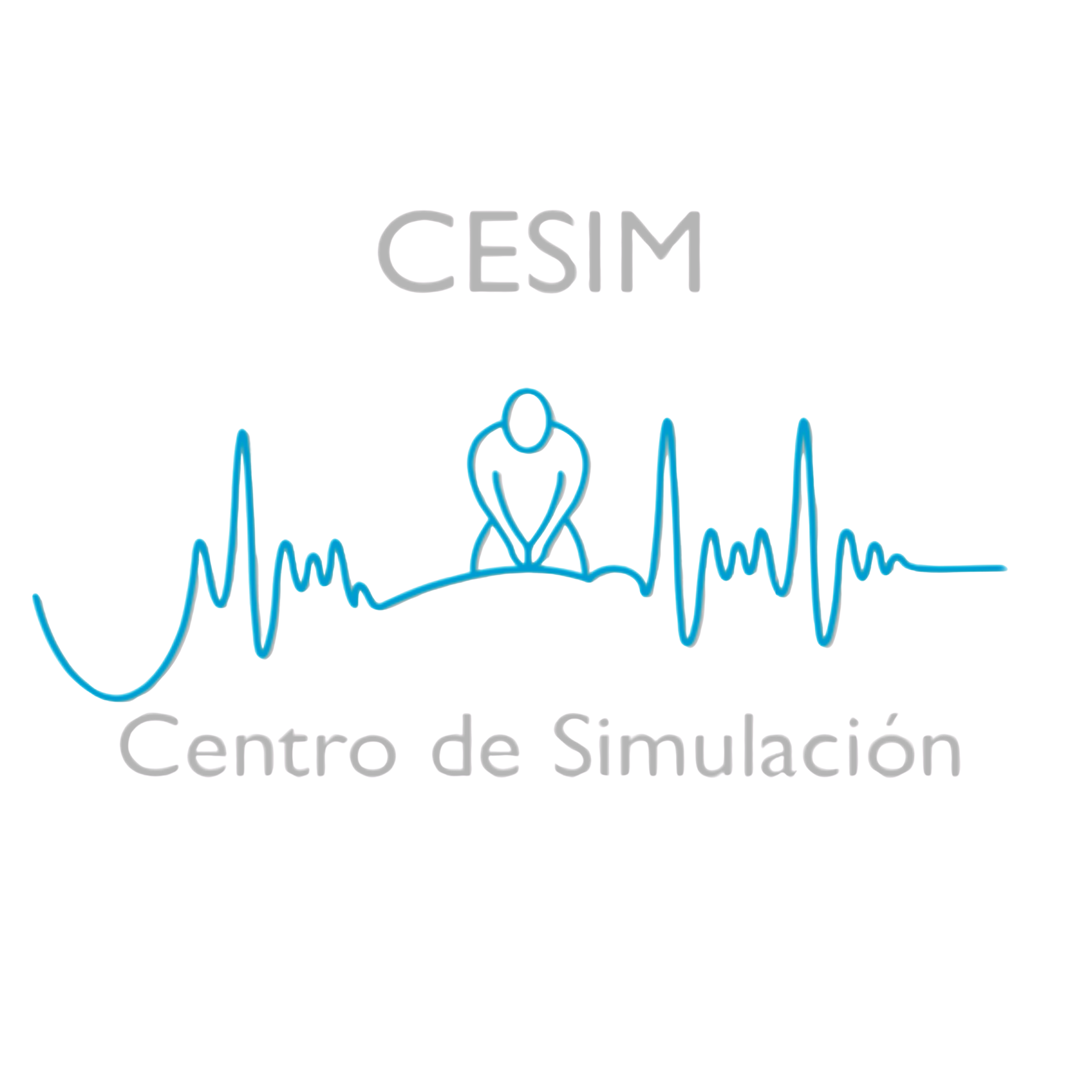 CESIM Bolivia